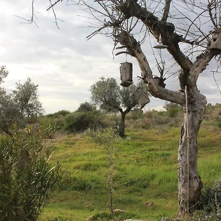 Tapada Da Serra * Idanha-a-Nova